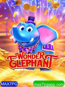 Explorando o Fascinante Mundo de WonderElephant